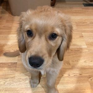 Meet your Posher, Cassie